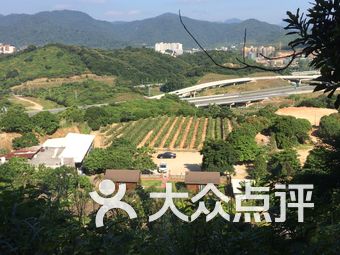 农庄排名_农庄大门(2)