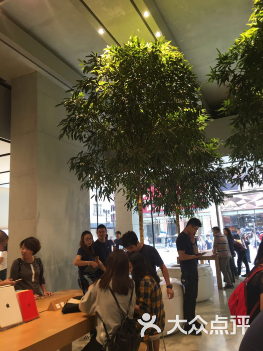 Apple Store(南开大悦城店)-图片-天津购物