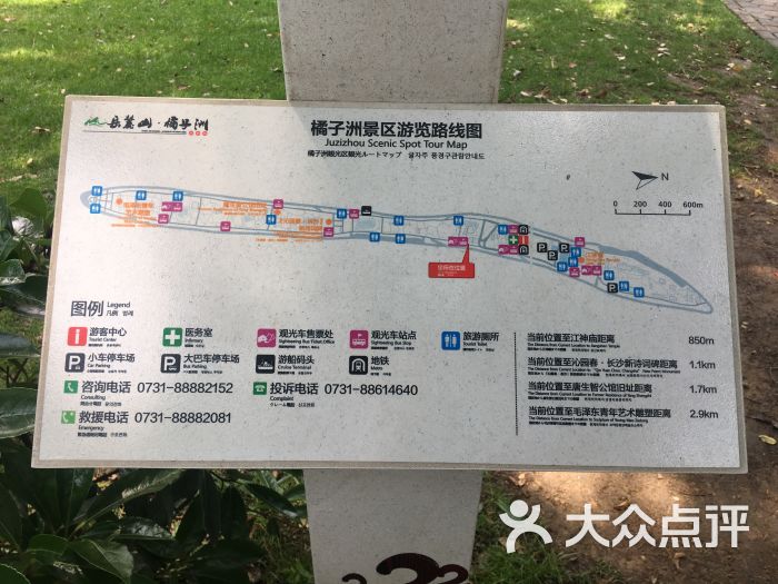 橘子洲景区图片 - 第8张