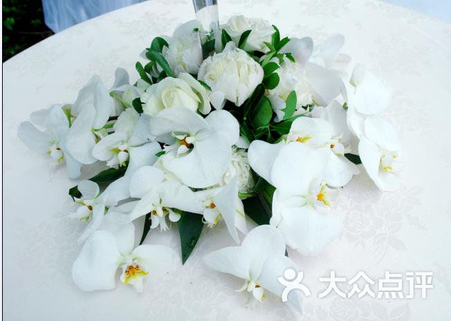 圣菲亚婚纱_圣菲亚大教堂夜景图片(3)