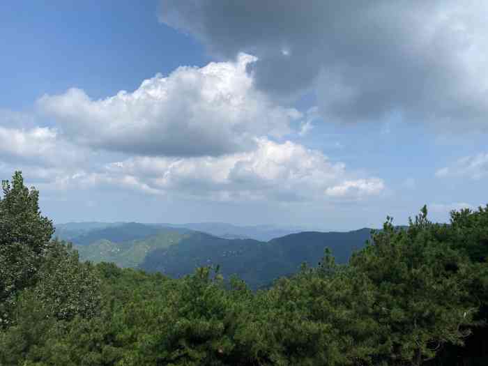 跑马岭森林部落