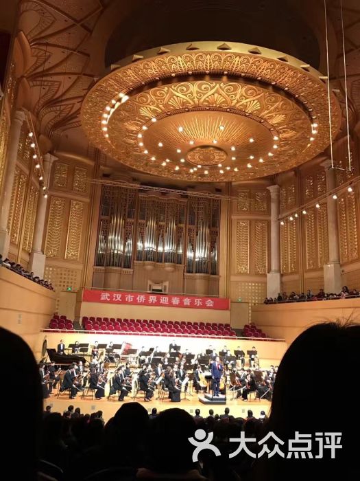 琴台音乐厅-图片-武汉电影演出赛事-大众点评网