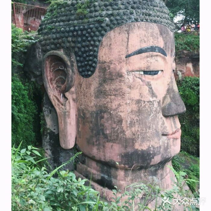 乐山大佛景区图片