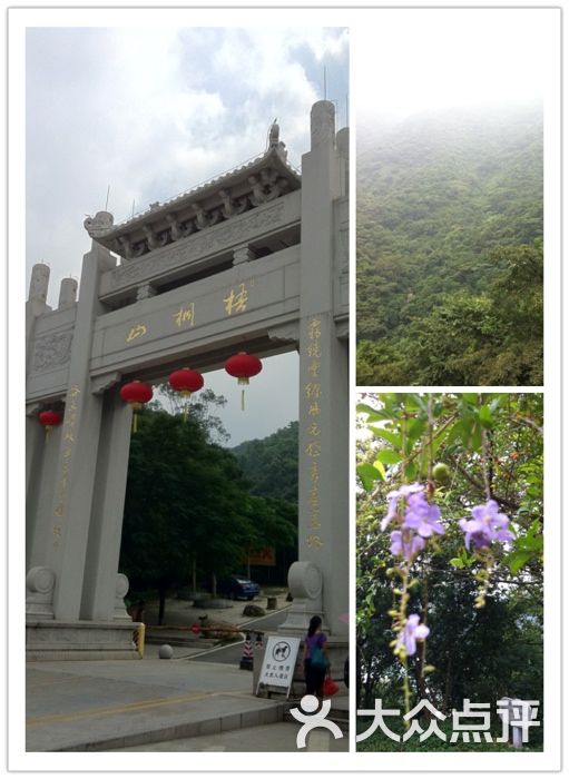 梧桐山大门