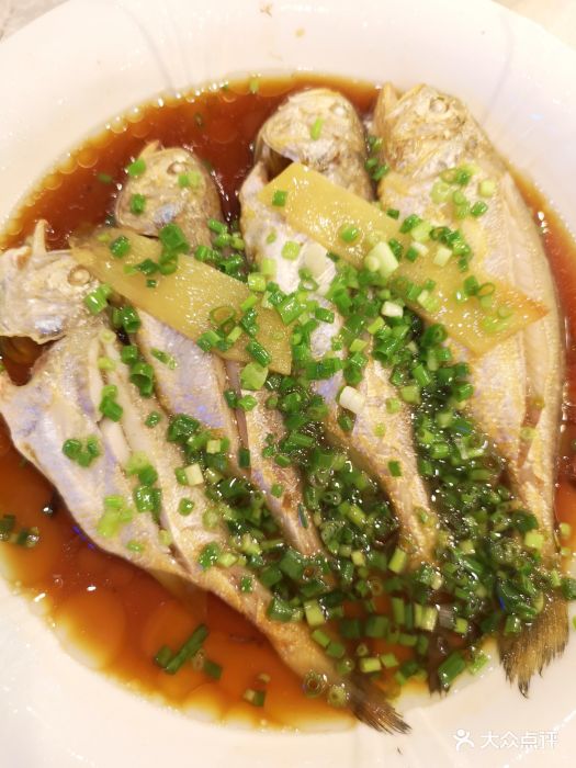 葱油子梅鱼