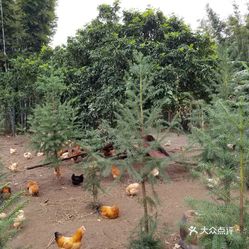 给树施肥应该离树多远 xZb9esfkaMwi52FT6l1RoRX22kLK8T3bESMv6cTdKINdcfOP9aI9-XQw8T5ZHFEyuzFvxlbkWx5uwqY2qcjixFEuLYk00OmSS1IdNpm8K8twhW7bzr4O88Ivp4FuDG0SfCF2ubeXzk49OsGrXt_KYDCngOyCwZK-s3fqawWswzk.jpg