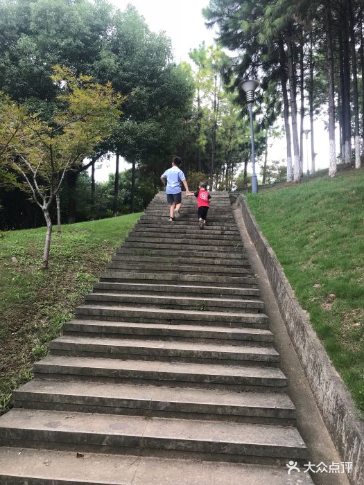 鸡鸣山公园-图片-义乌周边游-大众点评网