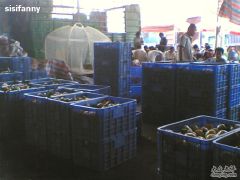 天平水果批发市场-图片-广州购物