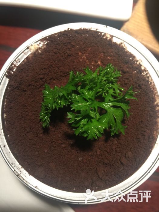 夏至未夏上传的图片图片