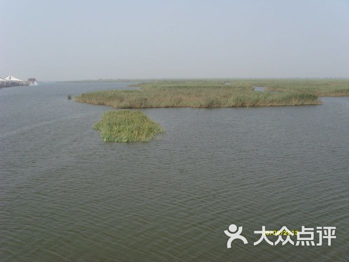 七里海鸟岛风景区-图片-宁河区周边游-大众点评网