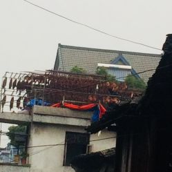 安昌古镇属于柯桥区吗 xb-3gAtc5onXnGmWvUj_HOAI-zqOguUERoqiIiGT9LTqaC6aBhOOiCpqn_9v_8YT.jpg