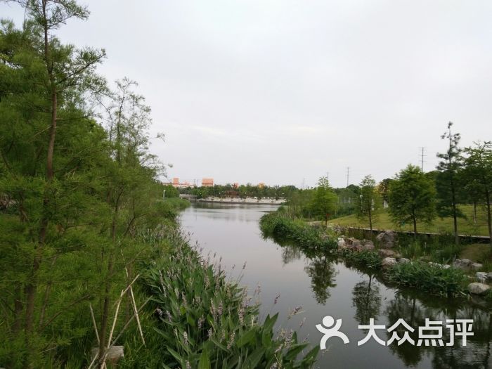罗塘公园-图片-姜堰区周边游-大众点评网