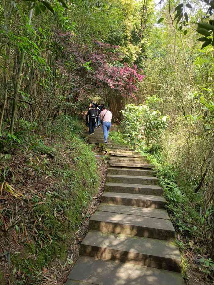 缙云山健身梯道"公司组织我们员工在休息日一起锻炼身体,平.