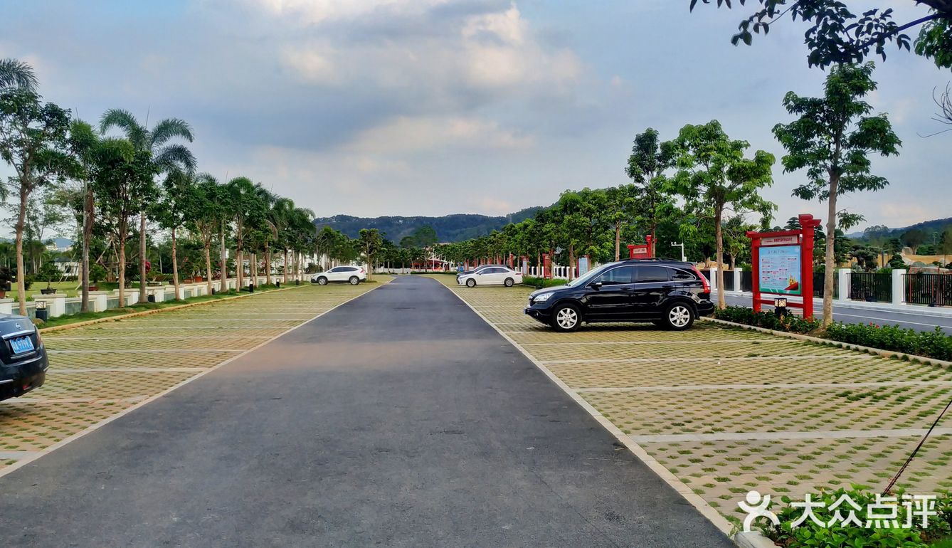 花都竹洞村～盆景小镇～逸翠园