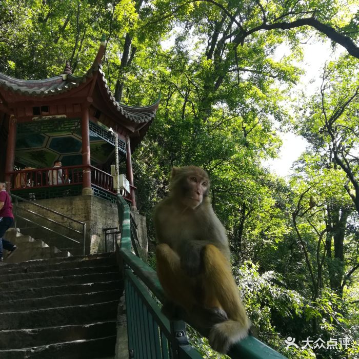 黔灵山公园图片 - 第1301张