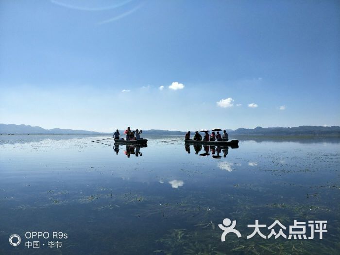 浪漫草海相约草海真浪漫上传的图片