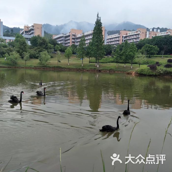 龙岩学院图片-北京大学-大众点评网