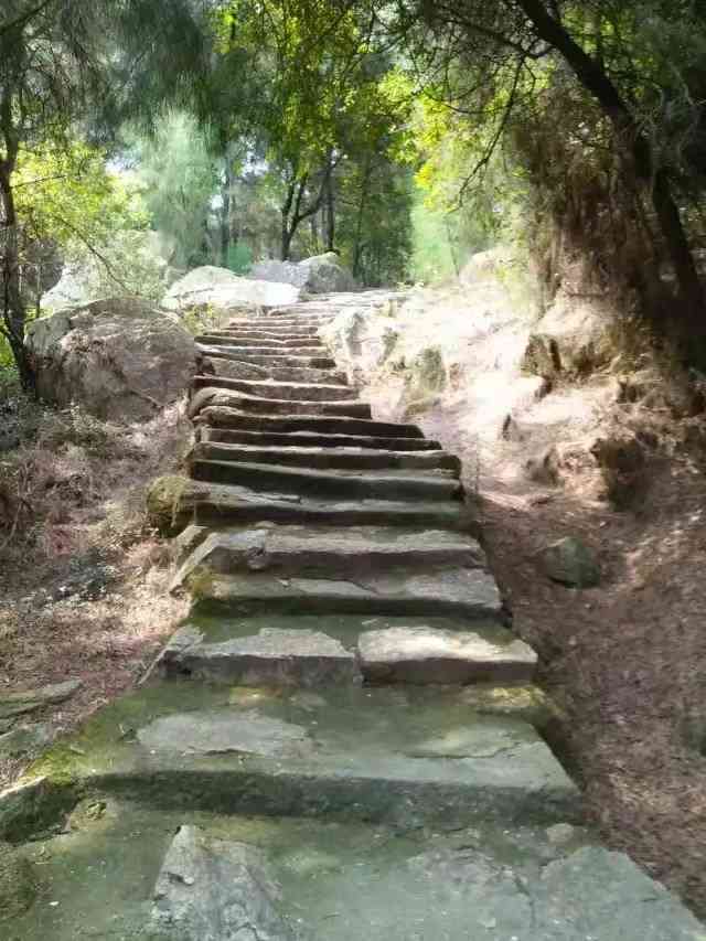 灵源山风景区-"雄伟壮丽的灵源寺矗立在灵源山上,它依山垒.