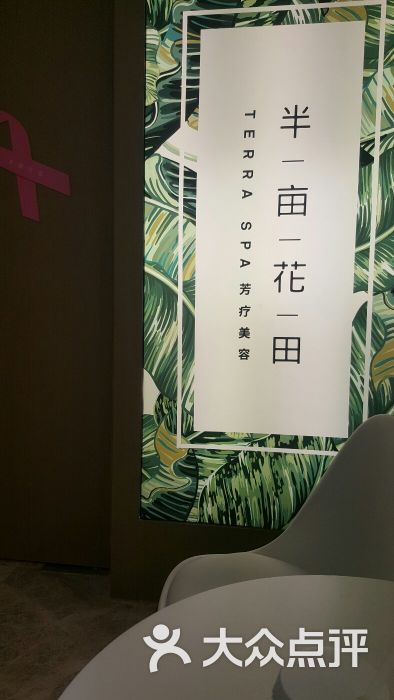 半亩花田(浦城店)图片 第1张