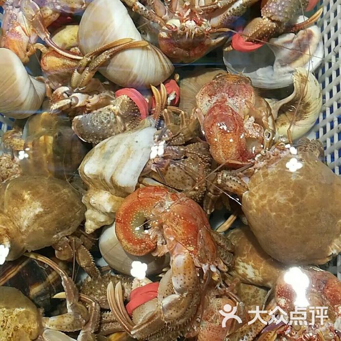 鲜鲜鲅鱼圈海鲜