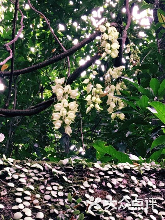 公坑寺旅游区-图片-江门景点