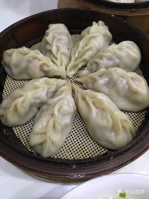 肚肚的小笼包土猪肉蒸饺图片 第236张