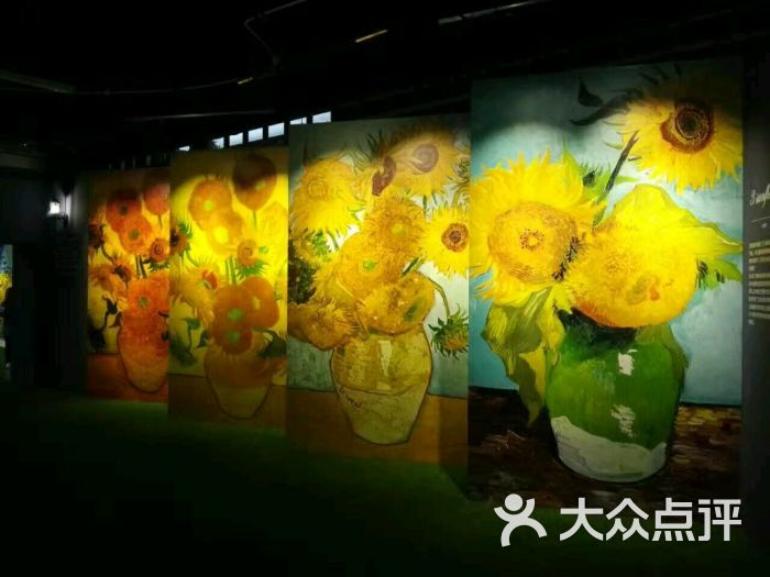 遇见梵高光影互动艺术展-图片-南京周边游