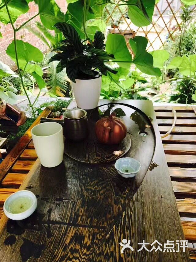 庭院的葫芦架下喝茶听雨