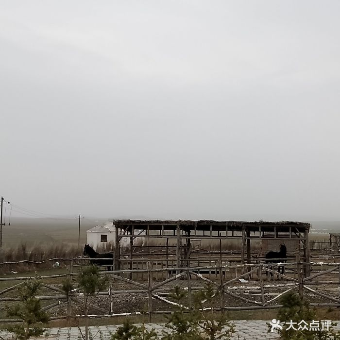 达尔罕茂明安联合旗私人空放 大众点评