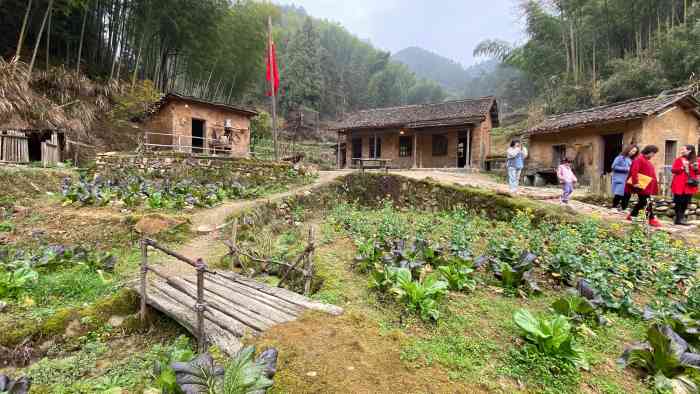 千岛湖下姜村-"趁着非常日,趁着晴好天气来一个说走就