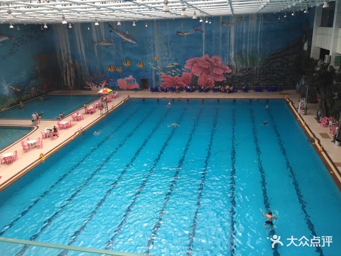 阳光海帝游泳馆图片