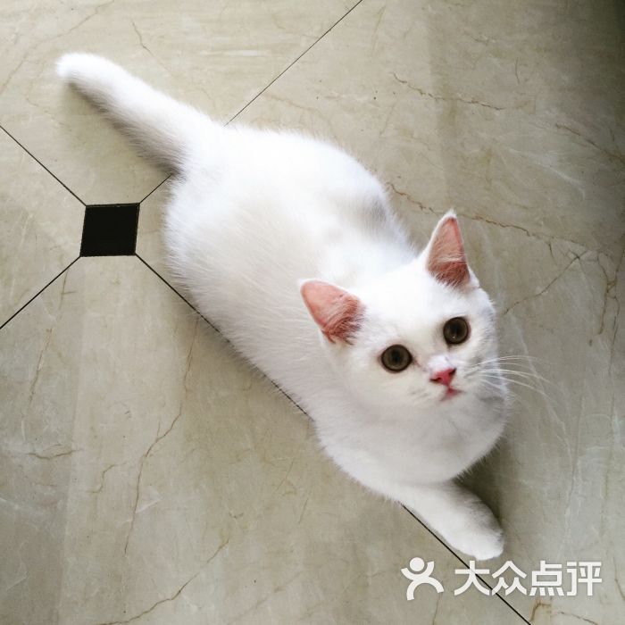 诺威宠物诊所图片 - 第3张