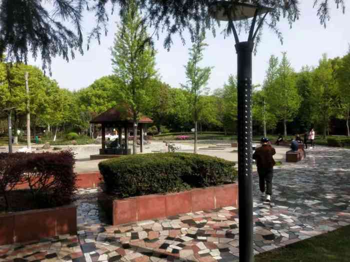马桥公园-"这个公园确切的说,还没有正式开放,公园里.