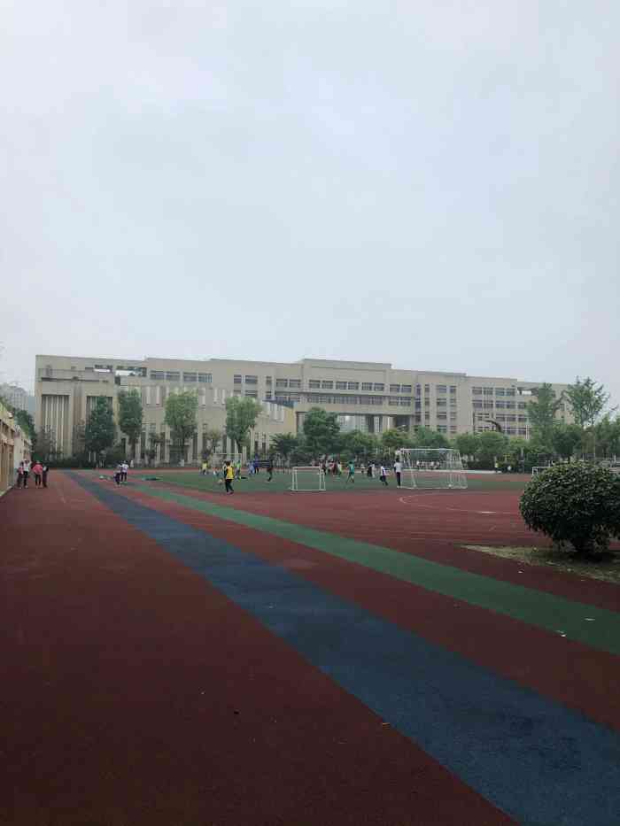 华东师范大学附属紫竹小学-"虽然是学校,但有专业的馆