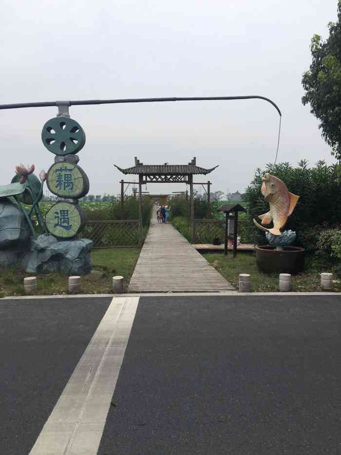 莲泗荡风景区-"莲泗荡景区位于秀洲区,是网船会所在地