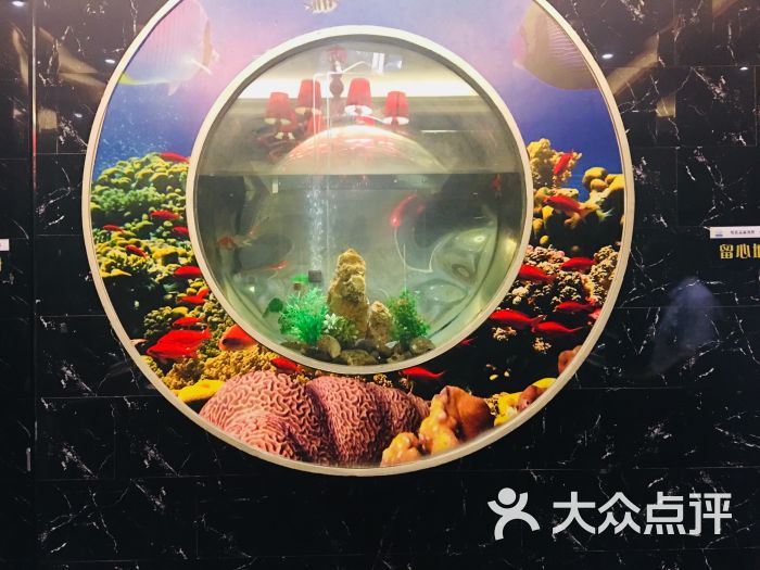 光明渔港(海悦天地店)图片 - 第7张