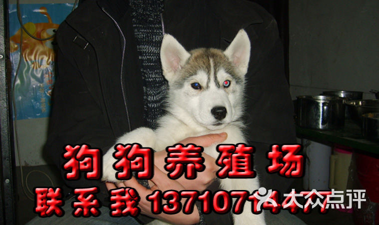 xmCJzrJy5MFePksbqzxJLYbLHLwQPRFYPa4_rj1gngkb3fULDvxJT1BFUqCYISgVTYGVDmosZWTLal1WbWRW3A.jpg
