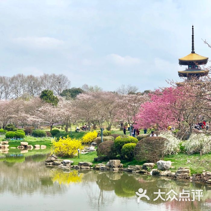 东湖磨山樱花园