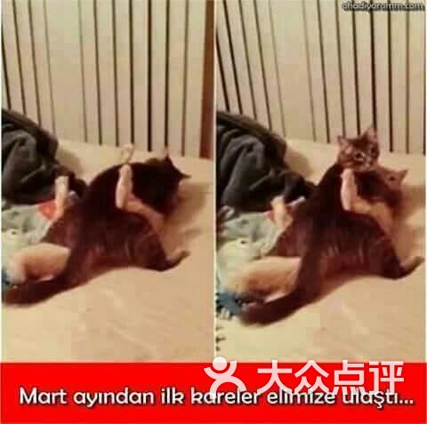 xoQf6CREeOQjO2BYgm0hgKJ8Wg35bK0VyaK9_2hSL8ZrPL75TC_Uon6JebO2efRtTYGVDmosZWTLal1WbWRW3A.jpg