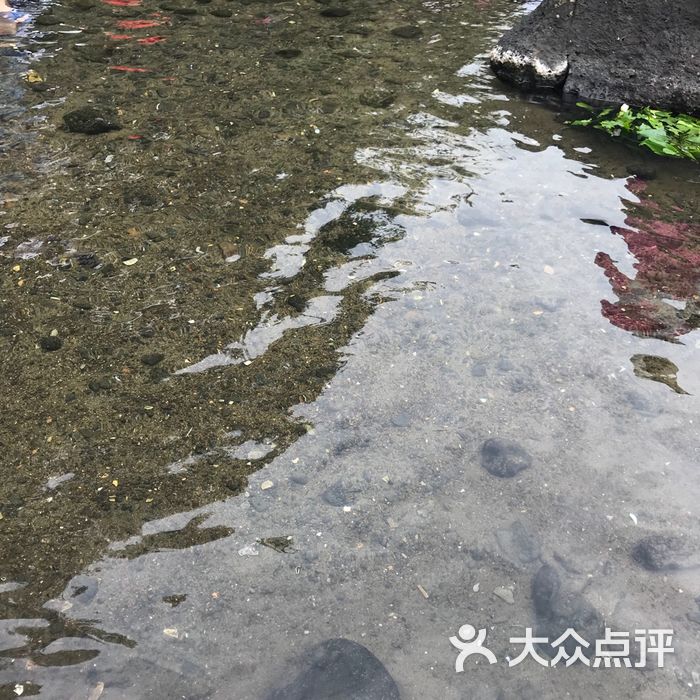 久温塘冷泉图片-北京自然风光-大众点评网