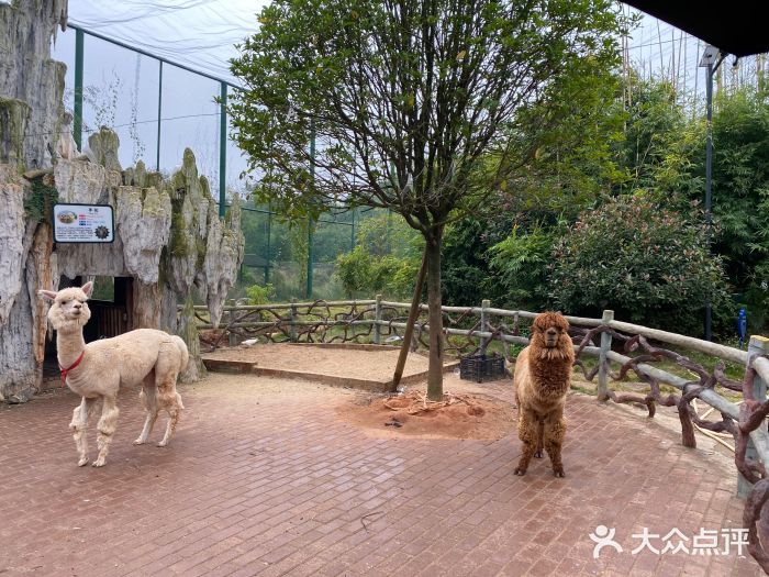 御景林国防研学基地-图片-株洲休闲娱乐-大众点评网