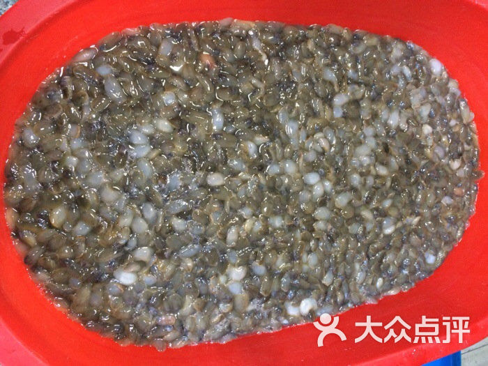 海鲜杂锦图片大全_海鲜市场_锦禹海鲜怎么样(3)