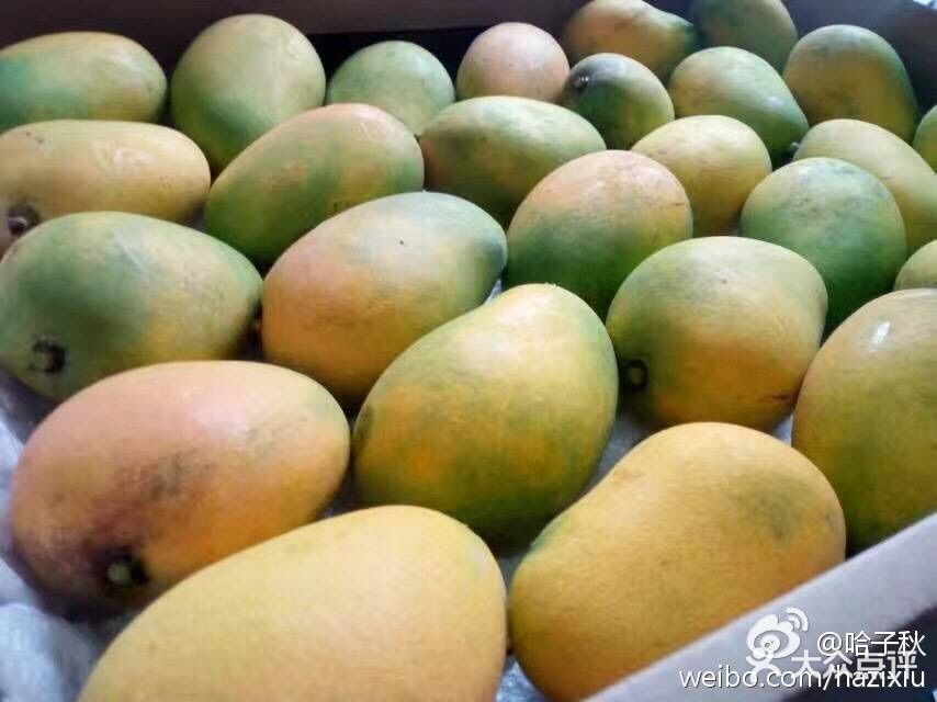 哈子秋水果特产专营店(海口南北水果市场店)图片 - 第88张