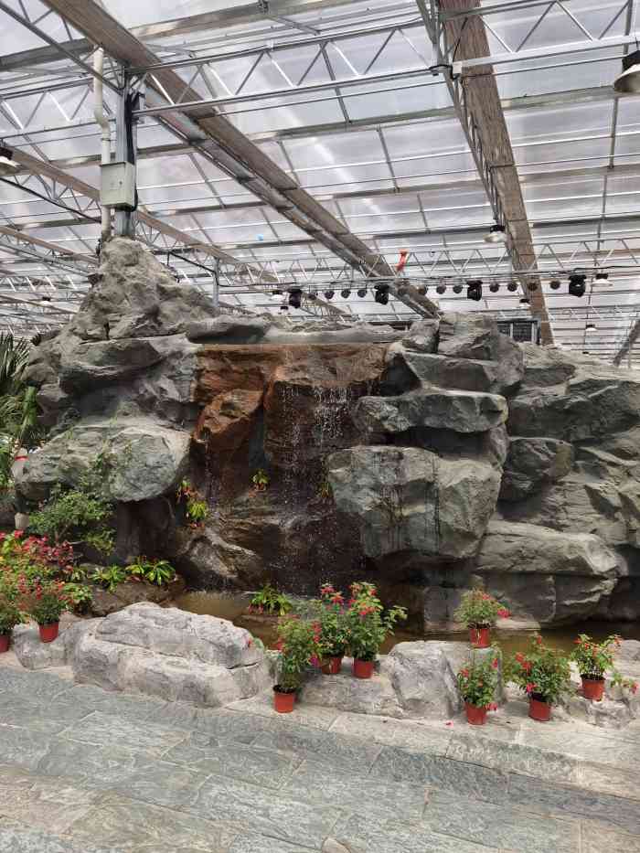 翠湖酒店-"[薄荷]环境: 环境非常舒适,湿度不错,."