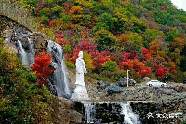 天女山森林公园图片 - 第2张