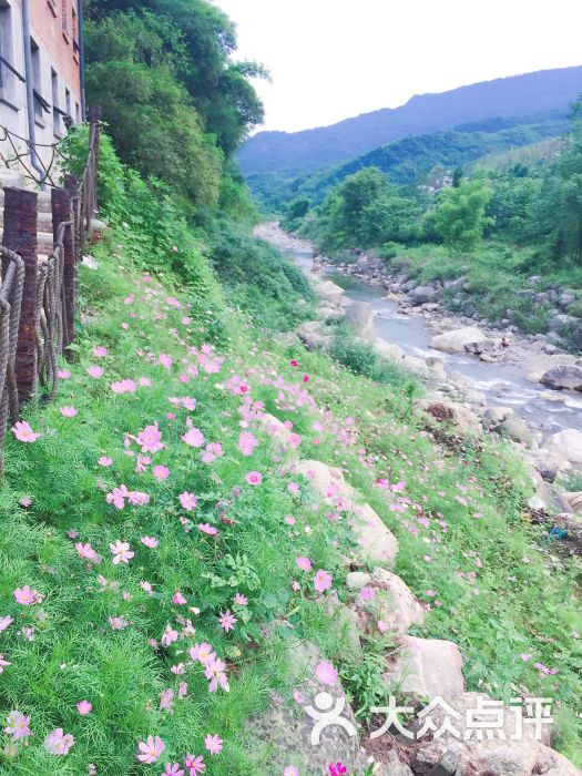 心苑雾山农场-图片-大邑县休闲娱乐-大众点评网