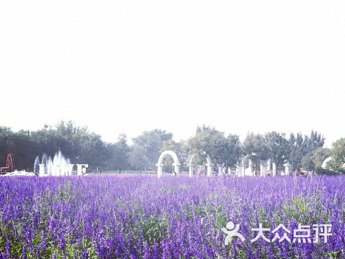 紫谷伊甸园图片 - 第9张