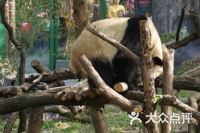 红山森林动物园图片 - 第2张