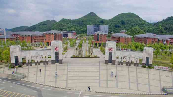 贵州财经大学(花溪校区)-"大学城最快修好的的大学,最