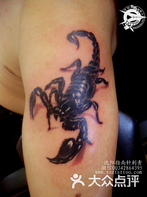 沈阳纹身 沈阳纹身店 蝎子纹身图案
